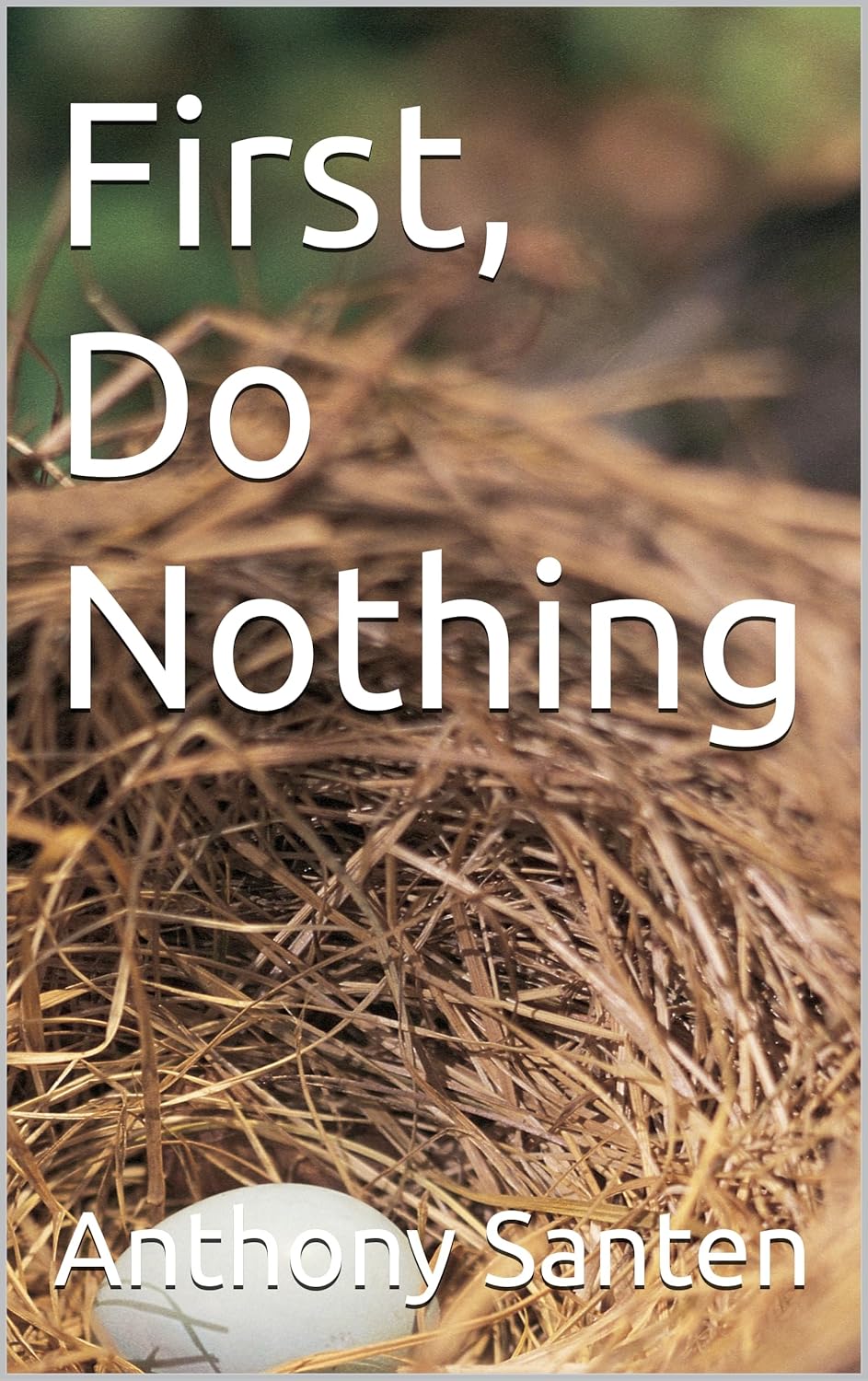 First Do Nothing - by: Anthony Santen